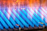 Newbridge gas fired boilers
